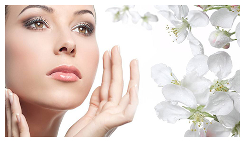 郑州割双眼皮培训